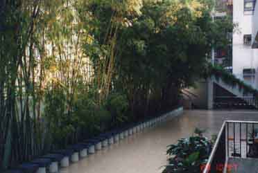 The Bamboo Garden